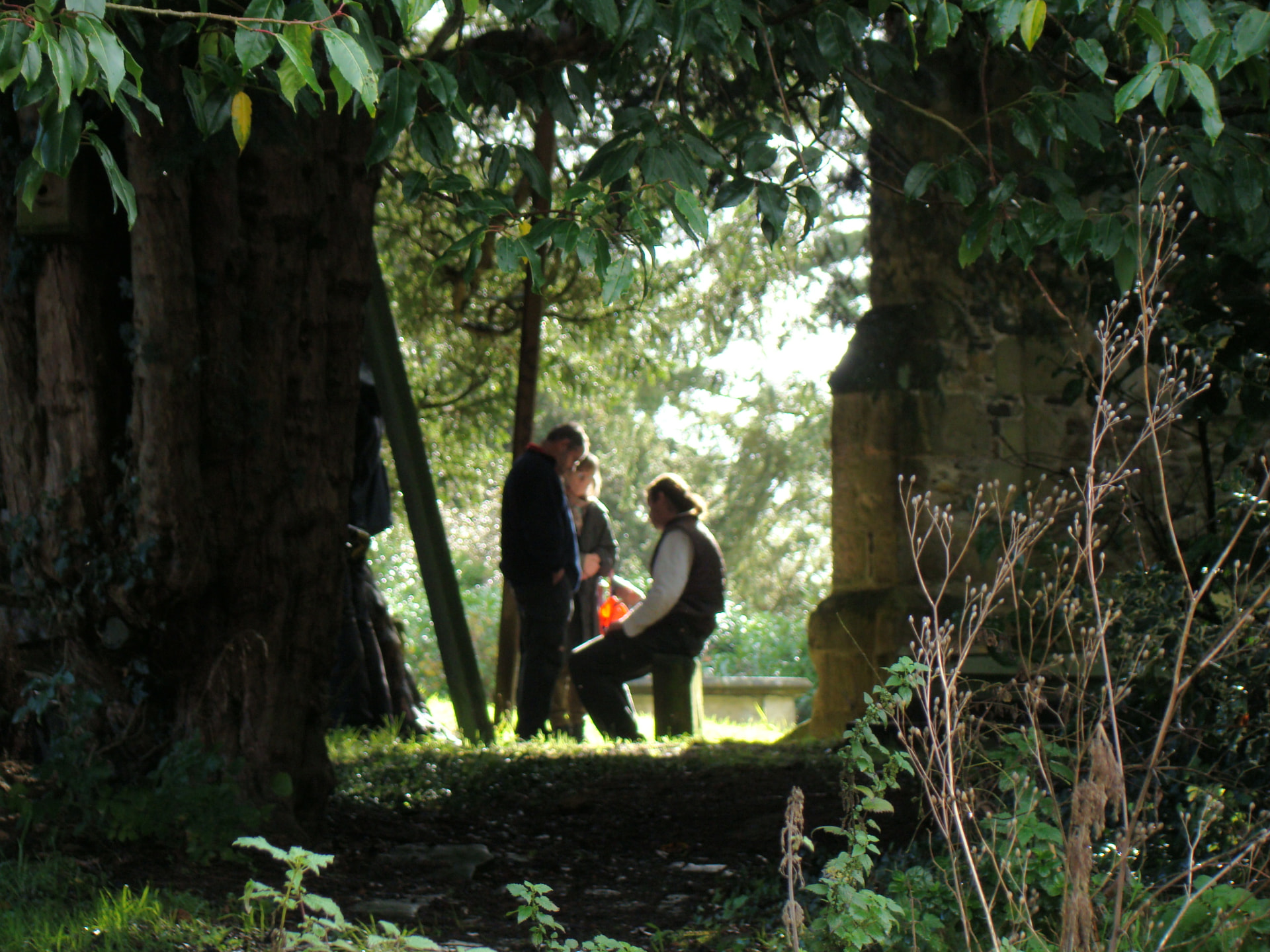 Klein gezelschap in gesprek op een zonnige plek in het bos